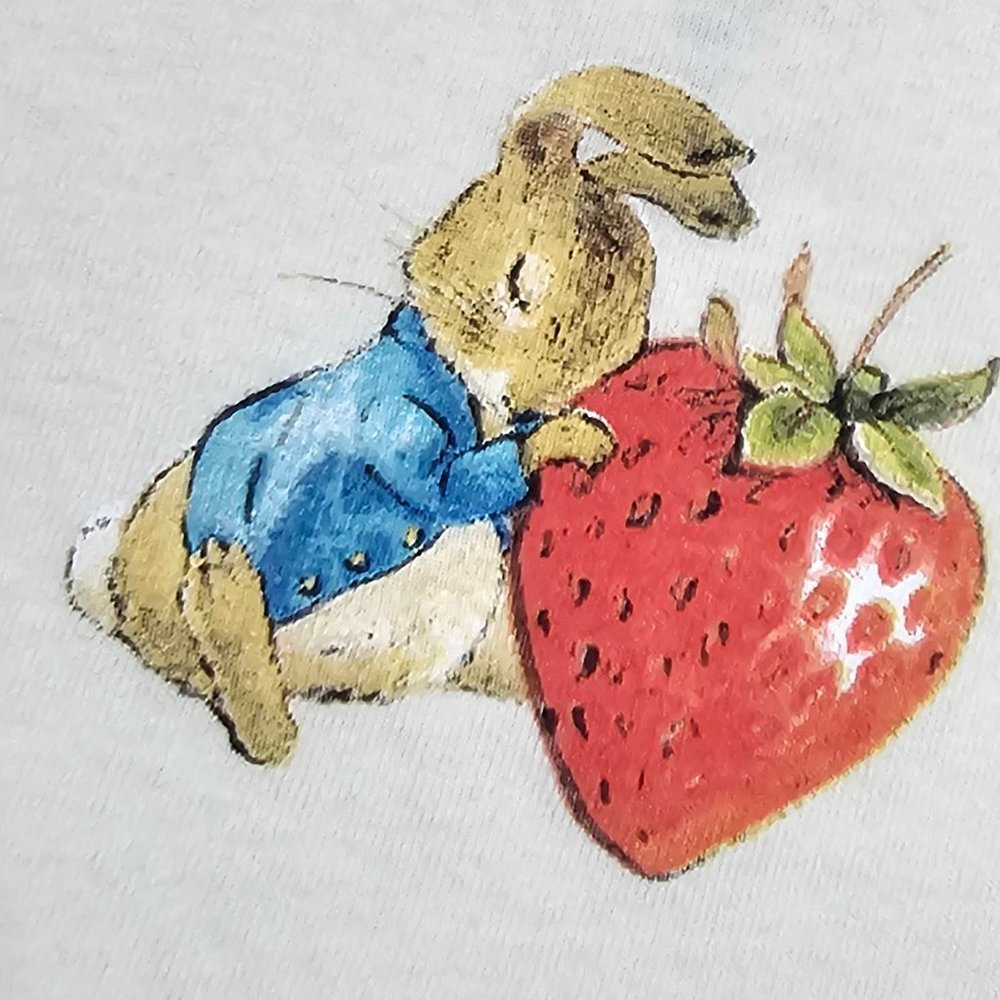 🏷️NWT Peter Rabbit Love Strawberry Ringer White Crop T-Shirt - S, M, L - Picture 5 of 7